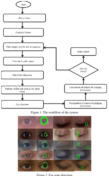 Figure 1. The workflow of the system 