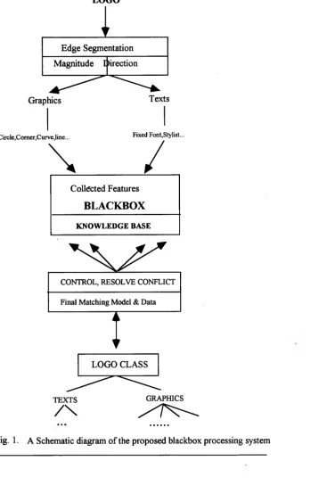 Fig. 1. A Schematic diagram of the proposed blackbox processing system