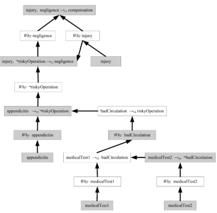 Figure 5: wbd argumentation framework
