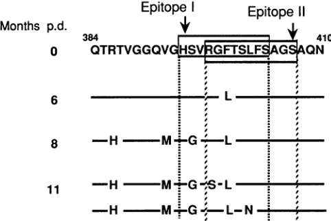 FIG. 5.theindicate Relationship between two B-cell epitopes in HVR1 I-1 and mutated positions in HVR1s derived from patient I