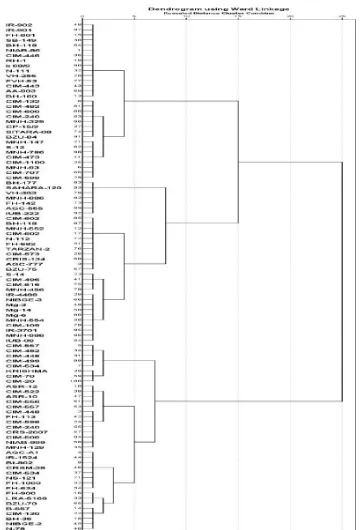 Figure 3. Ward’s dendrogram of cotton genotypes showing five clusters.