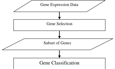 Figure 1. Gene expression classification model 