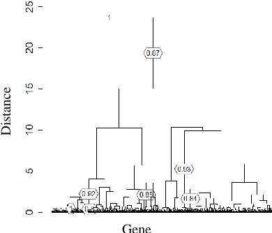 Table 2  Stability of gene clusters for bladder cancer dataset  
