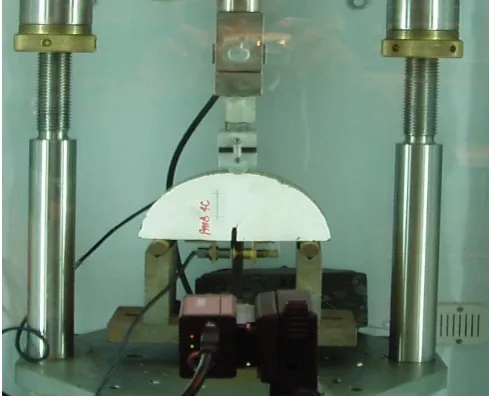 Fig. 5 Typical photograph taken during SCB test  
