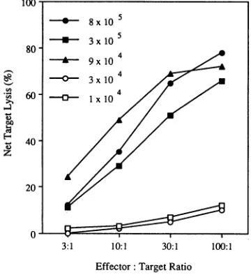 TABLE 2. MHC restriction of N2 IIIBenv-induced CTIL