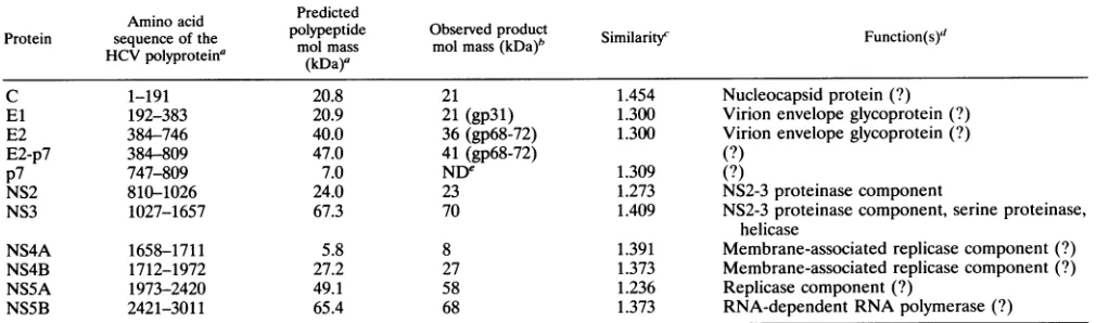TABLE 2. Properties of HCV proteins
