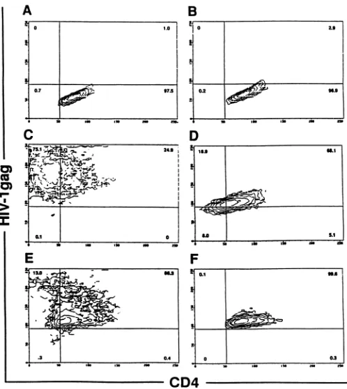 FIG. 2.002F16,contour002F11,PE-conjugated Analysis by flow cytometry of HIV-1 infection and CD4 expression in CD4-transduced LCL (105 cells) from two donors, depicted by plots