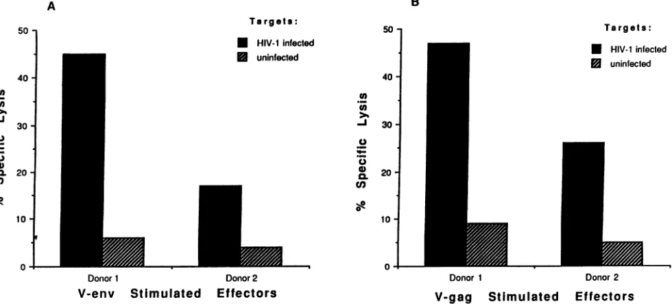 FIG. 4.targetsMHC-restrictedautologous Analysis of CTL against HIV-1-infected targets in a seronegative vaccinee (002F11) by in vitro stimulation of effectors for 9 days with PBMC infected with v-env or v-gag