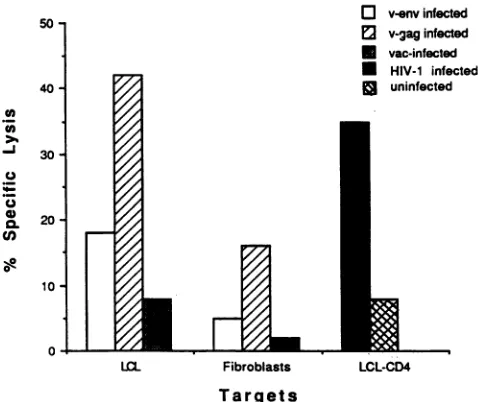 FIG. 7.specificLCL-CD4HIV-landadherencetargetsPercent103AFIC. Use of LCL-CD4HIV-1 as stimulator cells to amplify HIV- CD8+ CTL precursors from an HIV-1-infectedsubject, The effector population was stimulated with autologousfor 9 days and was enriched for C