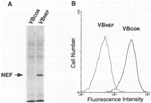 FIG.expressing