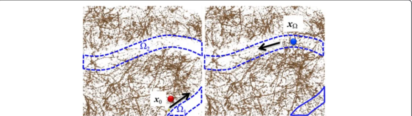 Figure 3 Interactive editing of the visualization results. By locally changing the shift value of the TF in the low-luminance area, similar structures with low intensity values can be visualized based on multidimensional features.