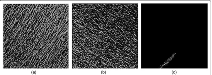Figure 6 Three-dimensional TF shift distribution globally computed based on (a) the orientation of the structures, (b) vertically overlapping structures and (c) locally selected by the user.