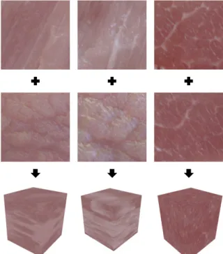 Figure 4: Three synthesized solids and their two  input exemplars (pig muscle tissue)