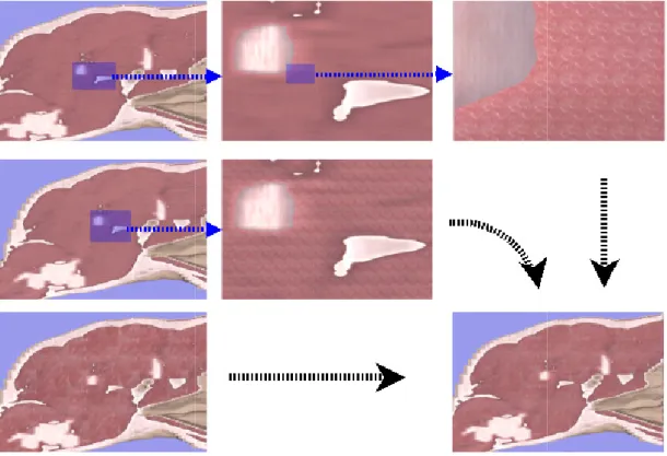 Figure 5: Three differently scaled muscle textures com