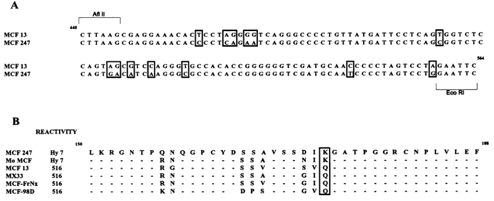 FIG. 2.werepublished448)position516Mo-MCF,nucleotide Nucleotide and amino acid sequence comparisons of polytropic MuLVs