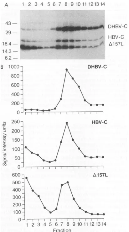 FIG 250.A