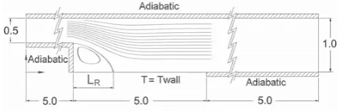 Fig. 1.Sketch of the test problem conﬁguration. Flow goes from left toright.