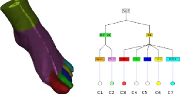 Fig. 3. Graph example. Left: the labelled voxel model in which each isoclass is rendered with a different color; Right: the graph