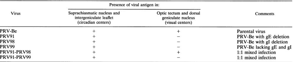 TABLE 1. Virus infection of circadian centers and visual centersa