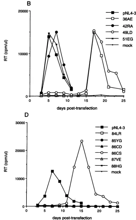 FIG. 2.T-cellmonitoredCells Replication kinetics of MA mutants in the CEM(12D-7) line
