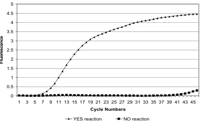 Fig. 3. An example of reaction plots corresponding to TaqMan(v0,vk,vl) = YES (first condition) and TaqMan(v0,vk,vl) = NO (second condition)