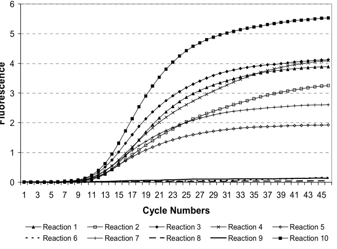 Fig. 5.  Output of real-time PCR. Reactions 1 to 10 indicate the [(|V|-2)2-(|V|-2)]/2 TaqMan(v0,vk,vl) reactions of the input instance, as defined in Section 3