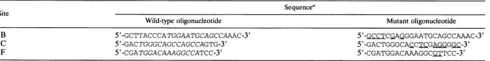TABLE 1. Oligonucleotides used for gel shift assays