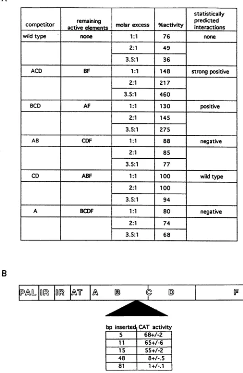 FIG.4.competitorcomparedsegmentsframeshift"RemainingtestcompletemolaractivitypComp-prom-CAT-enhancer-bindingStatisticallyequationdescribedeffectsgenemutations.procedureshancerinsertion15-bp (A)Effect of in vivo competition on CAT activity.All plasmids cont