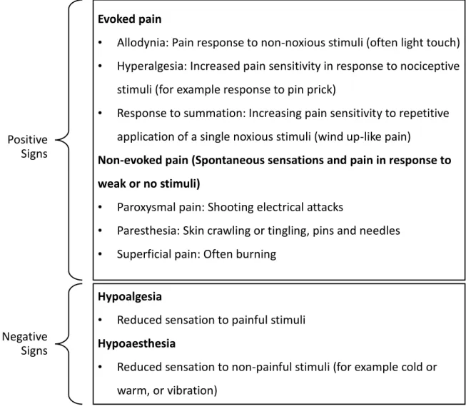 Figure 1.1 Key features of positive and negative signs of neuropathic pain 