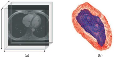 Fig. 2, Left ventricle geometrical model; (a) MR images, (b) eight node finite determines the fiber orientation at the central point of each element mesh 