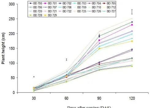 Figure 1. Effect of sorghum genotypes on plant height at different days after sowing where vertical bar  indicates least significant differences at 1% level of probability