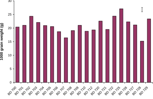 Figure 6. Effect of sorghum genotypes on 1000–grain weight at harvest where vertical bar indicates least significant differences at 1% level of probability