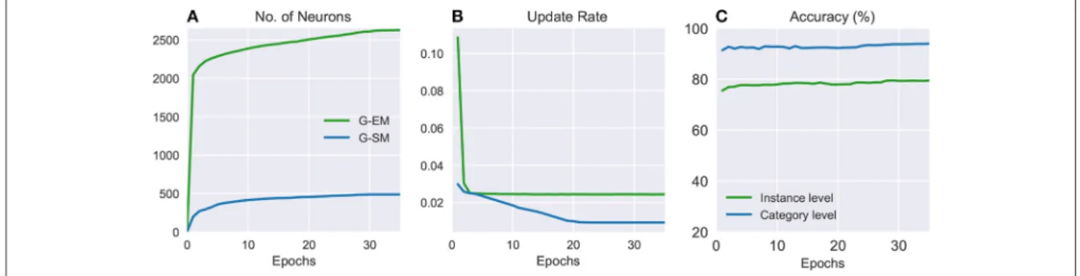FIGURE 3 | Batch learning on the CORe50: numbers of neurons (A), update rates (B), and classification accuracies (C) of G-EM and G-SM through 35 training epochs averaged across 5 learning trials.