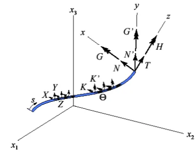Fig. 1b.  Forces and Moment distribution in a wire.  