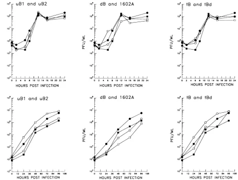 FIG. 3.oreachthawing, 0.01 Replication kinetic analyses with NIH 3T3 cells. Triplicate cultures of NIH 3T3 cells were infected at an MOI of 3 to 5 (top panels) (lower panels) PFU per cell