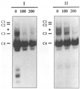 FIG. 4.50,000formation.incubatedare12, Effect of protein concentration on DNA-protein complex Standard EMS analyses in which 2 ,ug of poly(dI-dC), cpm of radiolabeled 21-bp repeat I, II, or III, and either 3, 6, 9, or 15 ,ug of Jurkat (A) or U-373 MG (B) n