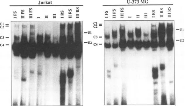 FIG. 6.flankinginsite which EMS analyses with lymphocytic and glial cell nuclear extracts and 21-bp repeats with or without flanking DNA