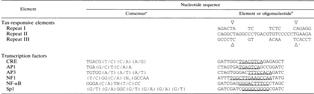 FIG. 7.T-celldashes.catecate300-foldelementstheradiolabeledStandardindicatetractsincubatedU-118-derived EMS analyses of the TRE-1/-2 element and nuclear ex- derived from lymphocytic and glial cell-derived nuclear extracts