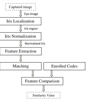 Figure 1.3 Daugman’s Model for Iris Recognition Scheme. 