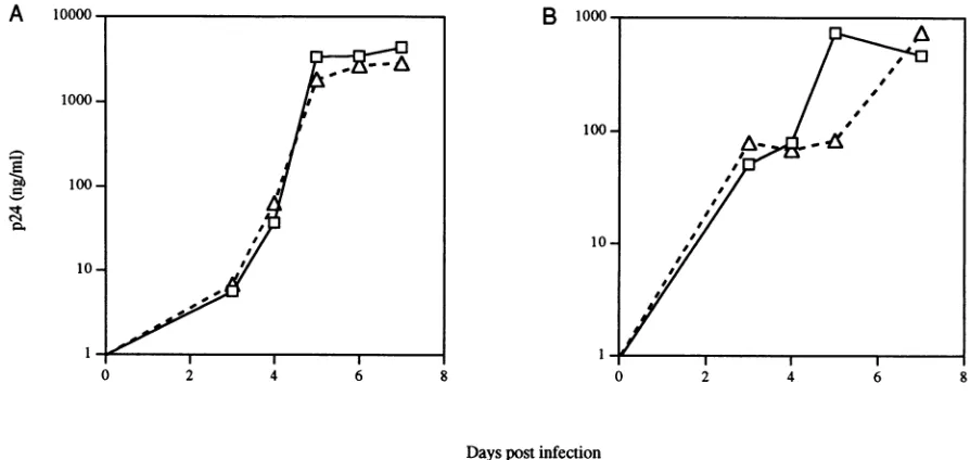 FIG.1.representELISA2.5 In vitro replication kinetics of HIV-1 nef mutants. (A) HIV-1JR-CSF and HIV-1JR CSFx; (B) HIV-1NL4-3 and HIV-lNL ,Xf