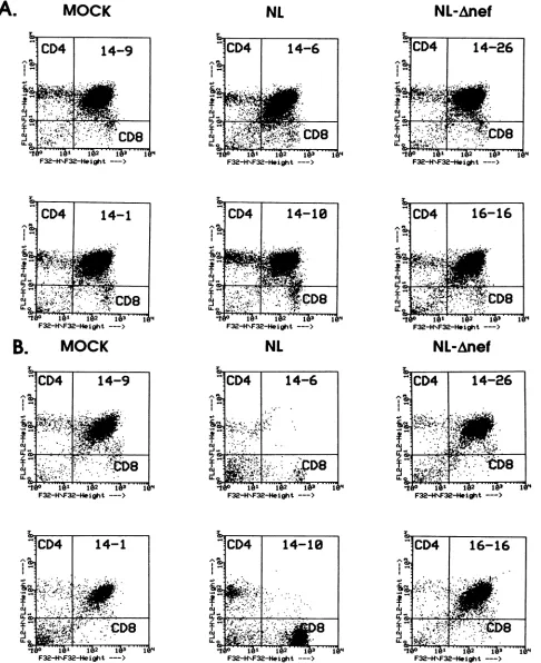 FIG. 4.cytometryorHIV-lNL with Flow cytometric analysis of HIV-1NLA-3- and HIV-lNL-Anefinfected implants