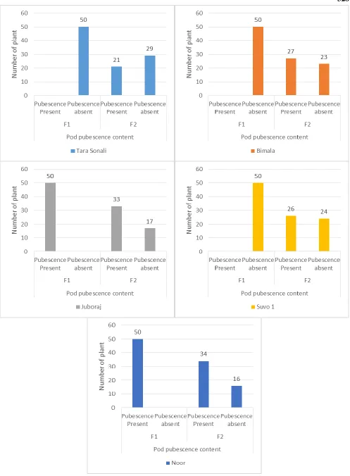 Figure 3. Segregation in F2 generation for pod pubescence content in five genotypes of Okra