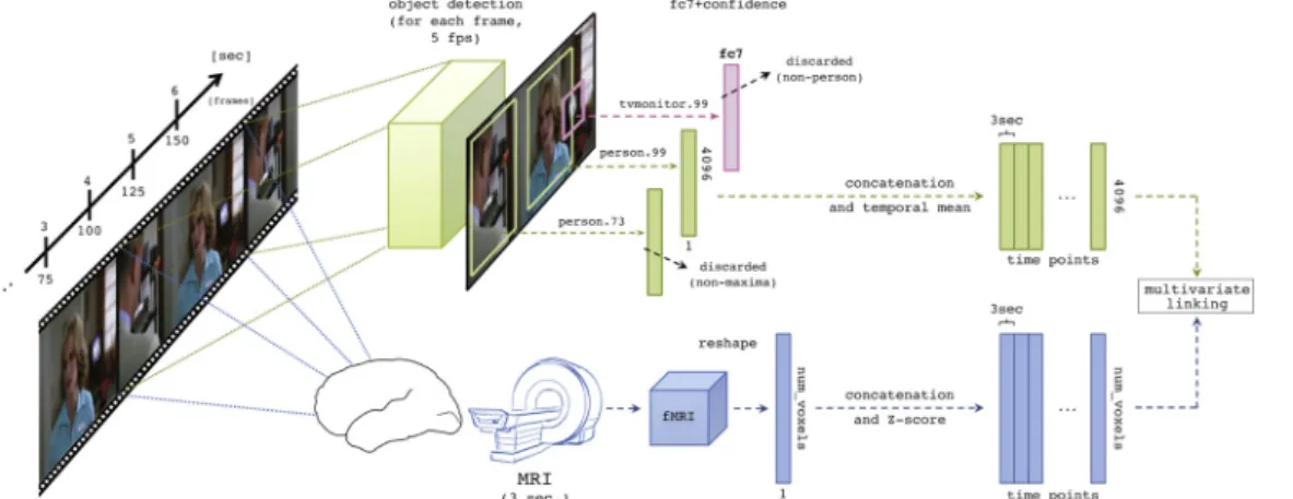 Fig. 2. Framework description for mapping fMRI to and from fc7 deep features, thus enabling decoding and encoding, respectively