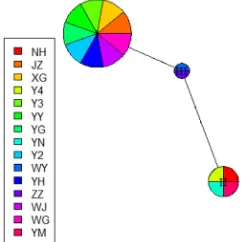 Figure 1. Statistical parsimony networks of COX2 haplotypes. (The study samples NH, JZ, XG, Y4, Y3, YY, YG, YN, Y2, WY, YH, ZZ, WJ, WG, and YM were obtained from Wolong, Sichuan.) Each color represents a different sample