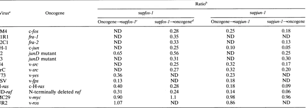FIG. 3.superinfectedessential Cellular morphology of doubly infected CEF. CEF were first infected with DS3(A) (A to E) or supjun-J(A) (F to J) 4 days later with FM4(B) (B and G), H-ras(B) (C and H), ND-raf(B) (D and I), or N4(B) (encoding v-src) (E and J) 