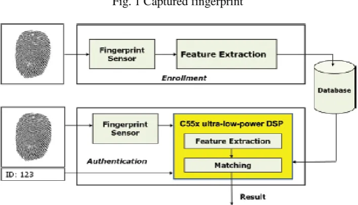 Fig. 1 Captured fingerprint 