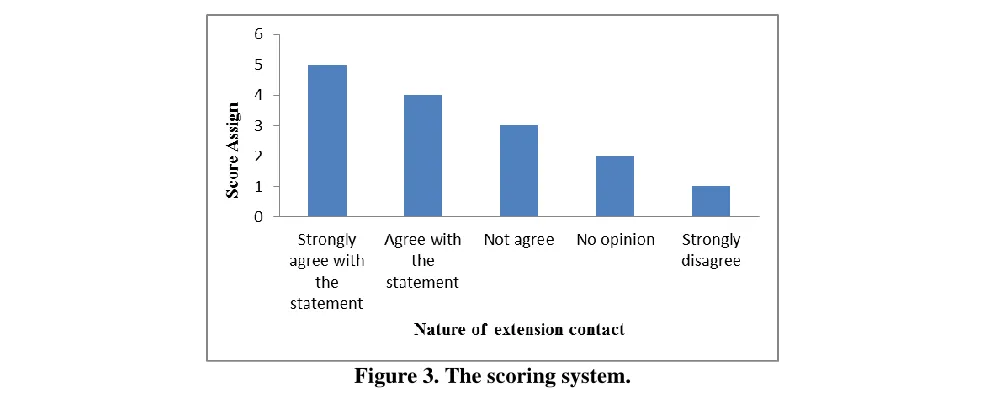 Figure 3. The scoring system. 