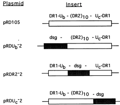 TABLE 3. Effects of replacement of regions of the a sequence on recombination