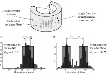 Fig. 1.3). 