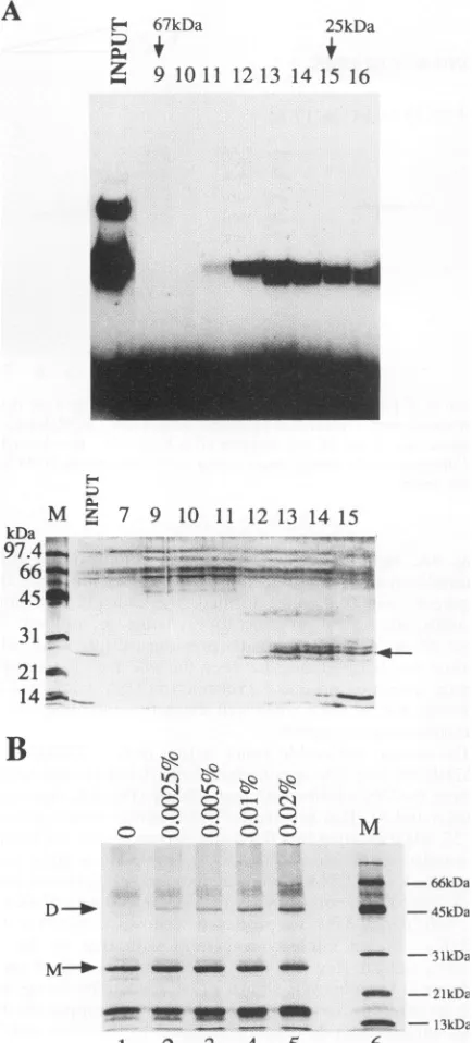 FIG.analysis.